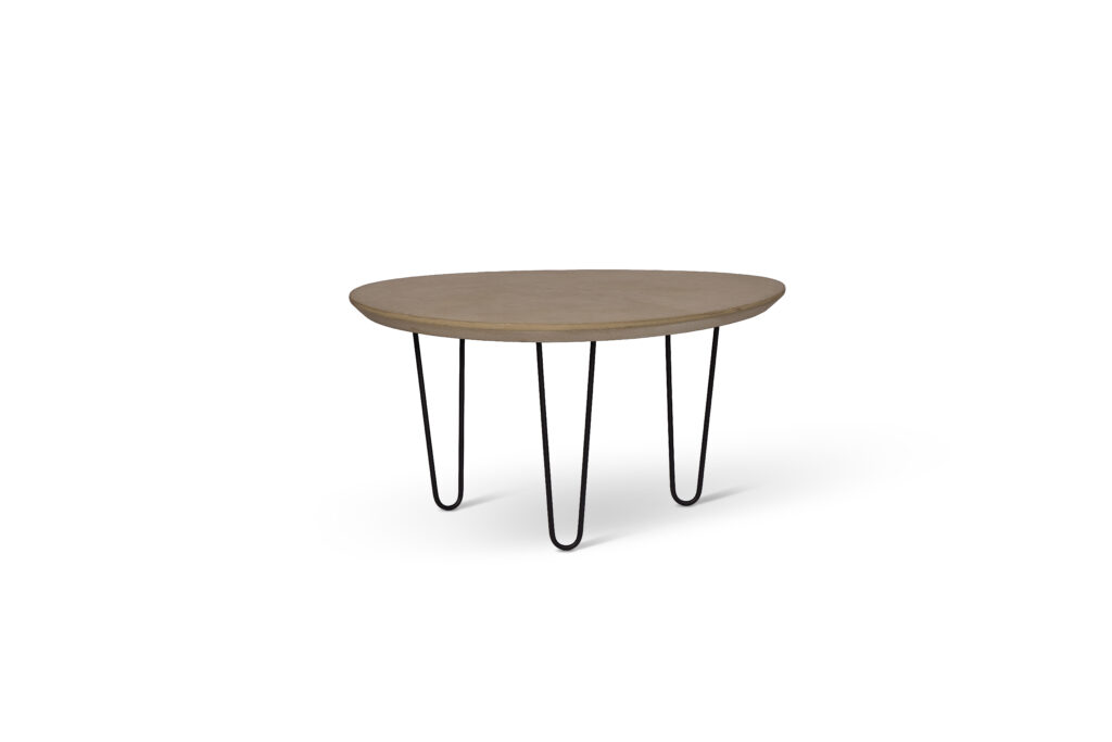 R.T 13 — B.M Vagone H40