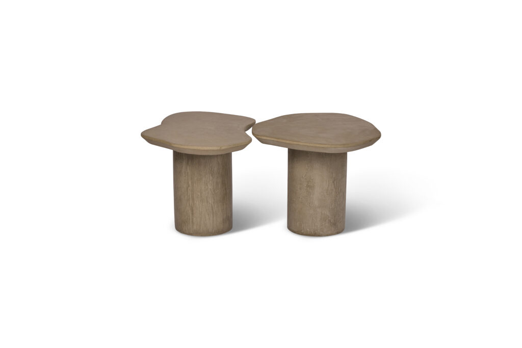 R.T 21 — B.M2031 66×75