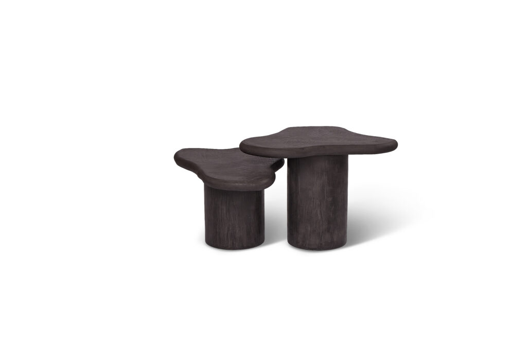 R.T 21 — B.M57 2-set (∅80/60)