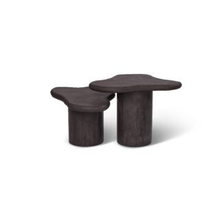 R.T 21 — B.M57 2-set (∅80/60)